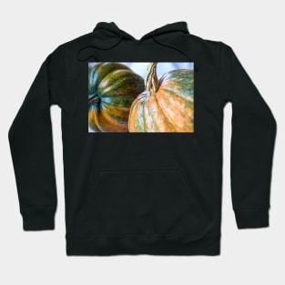 Acorn and Nugget Squash Hoodie